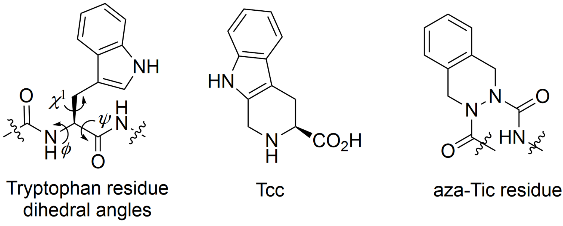 Figure 1. Contrainte conformationnelle des acides aminés aromatiques à l’aide de contreparties cycliques et aza-cyclo.