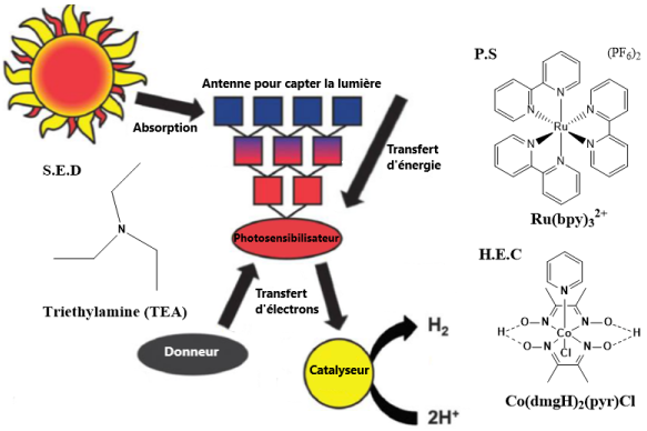 Figure 1 : Schéma général simplifié de la génération d’hydrogène par photocatalyse.