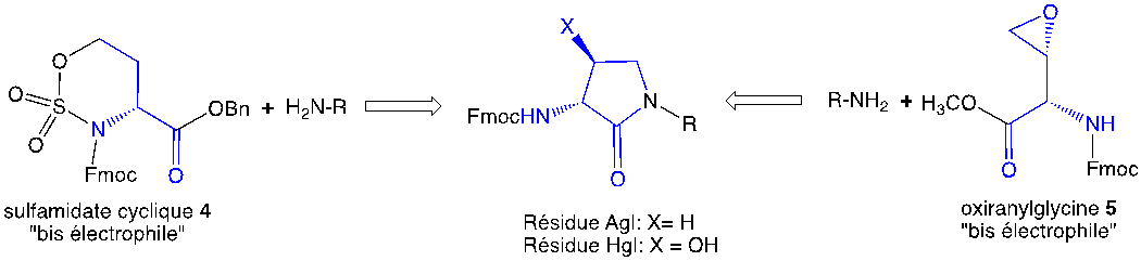 Figure 2. Construction de résidus Agl et Hgl sur une amine N-terminale en utilisant le sulfamidate cyclique 4 et l’oxiranylglycine 5.