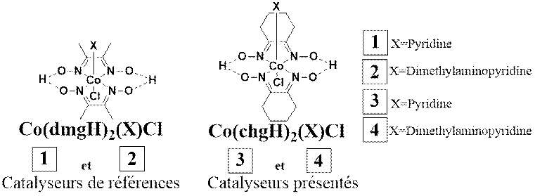 Figure 2: Représentation des catalyseurs analysé dans la présente étude.