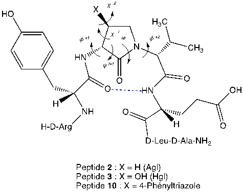 Figure 1. Les résidus Agl et Hgl restreignent le squelette et la géométrie de la chaîne latérale du peptide 1 stabilisant un conformère de tour β