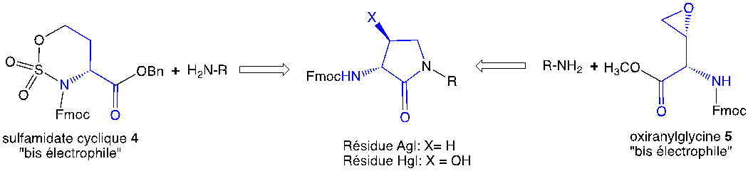 Figure 2.   Construction de résidus Agl et Hgl sur une amine N-terminale en utilisant le sulfamidate cyclique 4 et l'oxiranylglycine 5.