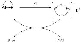 Figure 5 – Hydro-déchlorination reportée par Bourissou et al.