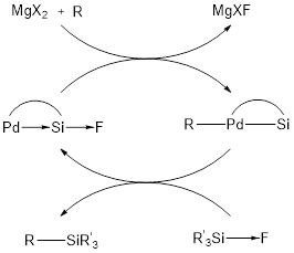 Figure 6 – Cycle catalytique de sila-Negishi reporté par Bourissou et al.