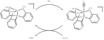 Figure 8 – Synthèse d’ammoniac reportée par Peters et al.